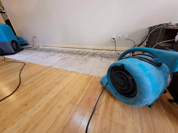 Professional Basement Flood Cleanup technician working in Ryde, CA